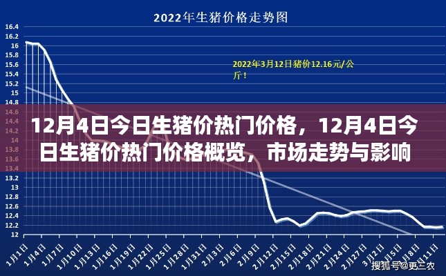 12月4日生豬價(jià)熱門概覽，深度解析市場走勢與影響因素