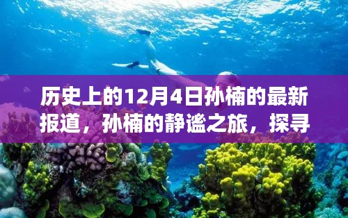 孫楠的靜謐之旅，探尋自然美景與內(nèi)心力量的歷史報道（12月4日最新）