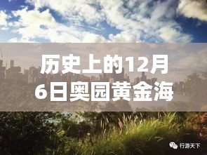 揭秘黃金海岸，歷史上的12月6日最新動(dòng)態(tài)與發(fā)展歷程揭秘