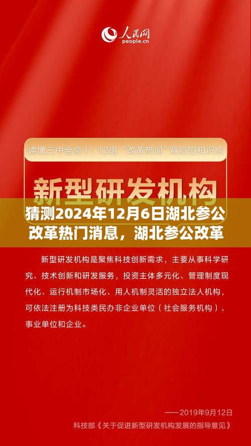 湖北參公改革展望，深度解析熱門消息，預(yù)測(cè)未來(lái)趨勢(shì)至2024年12月6日