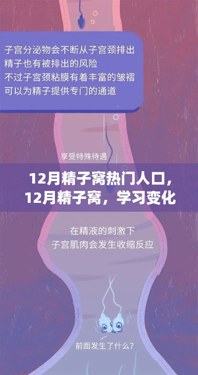 12月精子窩，學(xué)習(xí)變化與自信成就感的源泉，熱門人生的啟航地