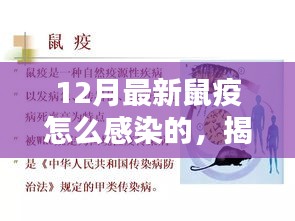 揭秘最新鼠疫感染途徑與預(yù)防措施，預(yù)防勝于恐慌