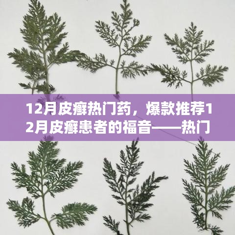 12月皮癬熱門藥物大盤點，爆款推薦與患者的福音