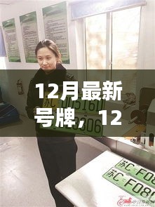 12月最新號牌全面評測與介紹