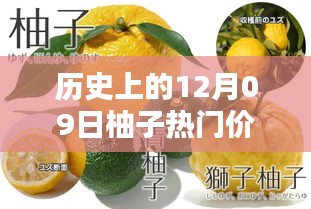 揭秘柚子歷史價格，柚子價格查詢?nèi)ヂ裕ㄟm合初學(xué)者與進(jìn)階用戶）