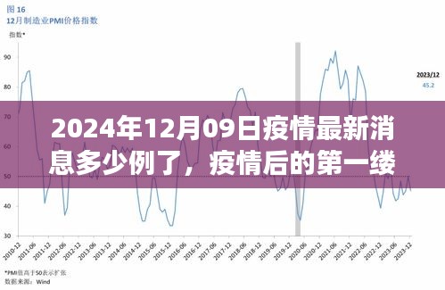 疫情最新消息下的自然美景之旅，啟程尋找內(nèi)心的寧?kù)o港灣（2024年12月09日）