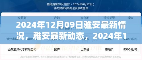 雅安最新動態(tài)深度觀察，2024年12月09日最新情況報告