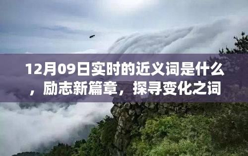 12月09日實時近義詞探索與勵志新篇章，探尋詞匯魔力，學(xué)習(xí)鑄就自信成就之橋