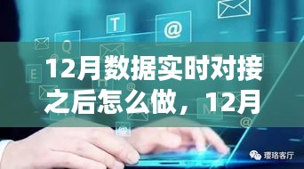 12月數(shù)據(jù)實時對接后的策略指南，多方考量與行動步驟