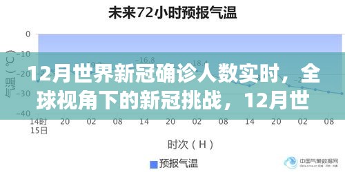 全球視角下的新冠挑戰(zhàn)，12月世界新冠確診人數(shù)實時分析