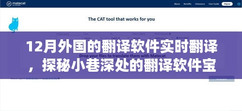 探秘十二月外國(guó)實(shí)時(shí)翻譯軟件，小巷深處的翻譯寶藏體驗(yàn)之旅