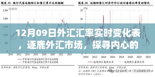 揭秘外匯市場(chǎng)風(fēng)云變幻，探尋匯率背后的故事——12月09日外匯匯率實(shí)時(shí)變化表解析