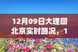 12月9日大理歸途，實(shí)時(shí)路況與心靈歸航的旅程故事