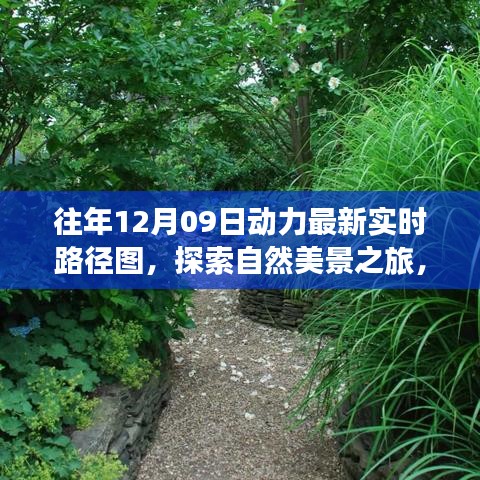 往年12月09日動力路徑圖，自然美景探索之旅的寧靜與和諧體驗