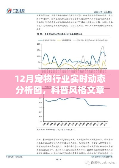 揭秘寵物行業(yè)趨勢，12月寵物行業(yè)實時動態(tài)科普分析圖