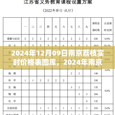 2024年南京荔枝實(shí)時(shí)價(jià)格表圖庫(kù)制作指南，從初學(xué)者到進(jìn)階用戶(hù)全攻略