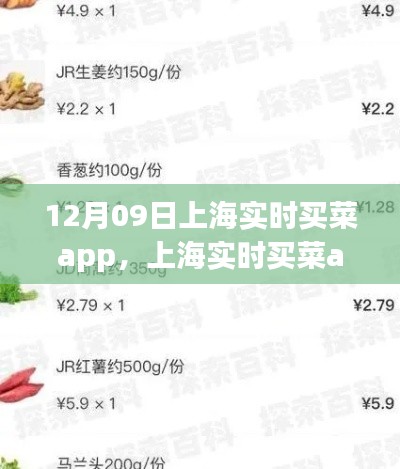 上海實(shí)時(shí)買(mǎi)菜app使用指南，從初學(xué)者到進(jìn)階用戶的全方位指南（12月09日版）