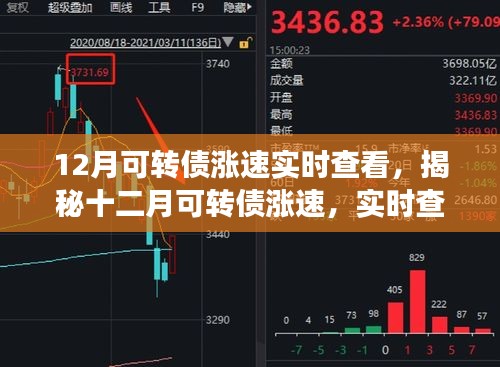 揭秘十二月可轉(zhuǎn)債漲速，實(shí)時(shí)查看與深度解讀報(bào)告
