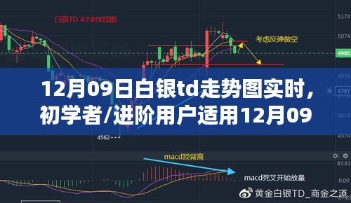 12月09日白銀TD走勢圖實時分析指南，適合初學者與進階用戶