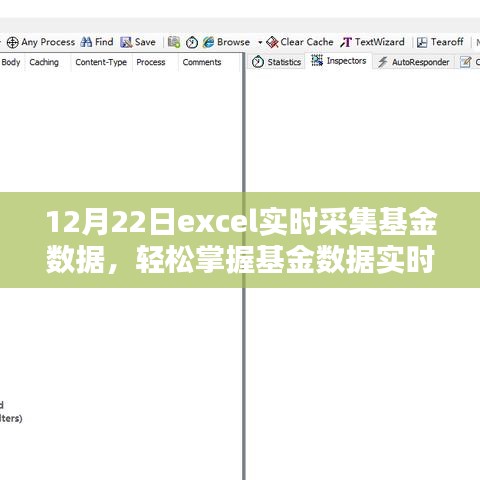 Excel基金數(shù)據(jù)實(shí)時(shí)采集進(jìn)階，掌握實(shí)時(shí)動(dòng)態(tài)，輕松管理投資組合（12月22日）