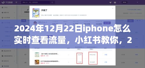 2024年12月22日iPhone實(shí)時(shí)查看流量教程，小紅書教你如何輕松監(jiān)控流量消耗