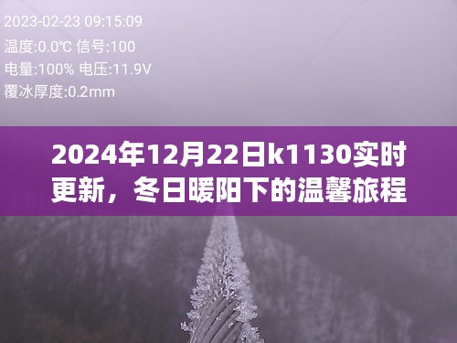 冬日暖陽下的溫馨旅程，K1130列車2024年12月22日實(shí)時(shí)更新行程揭秘