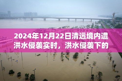 洪水侵襲下的清遠秘境，美食奇遇與實時報道