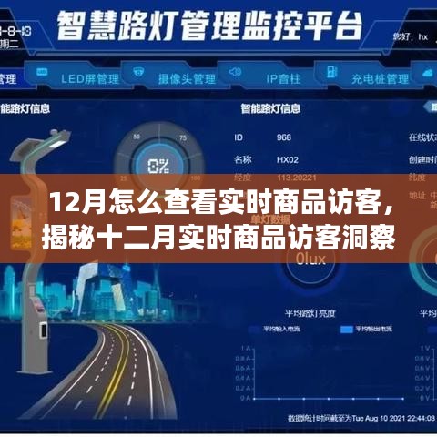 揭秘十二月實時商品訪客洞察，洞悉訪客動態(tài)與商業(yè)進(jìn)展的秘訣