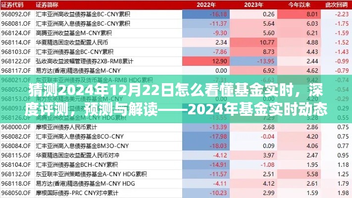 揭秘2024年基金實(shí)時(shí)動態(tài)洞察系統(tǒng)，深度評測、預(yù)測與解讀的未來趨勢