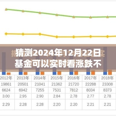 2024年12月22日基金實(shí)時(shí)漲跌預(yù)測(cè)攻略，掌握未來(lái)走勢(shì)，初學(xué)者與進(jìn)階用戶必讀