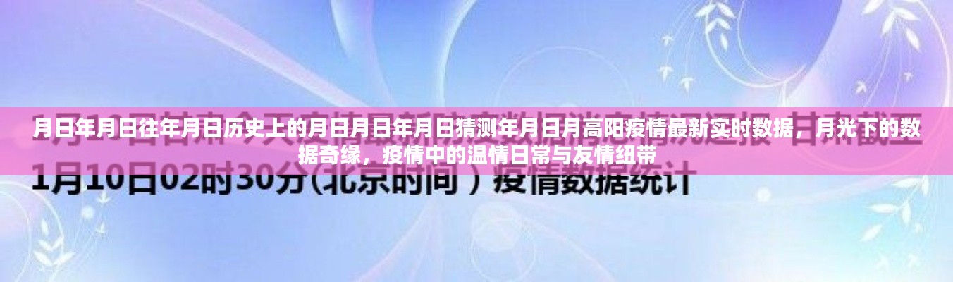 月高陽疫情最新實時數(shù)據(jù)與月光下的數(shù)據(jù)奇緣，歷史視角下的溫情日常與友情紐帶