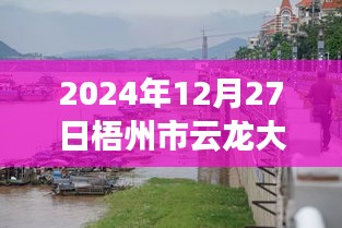 梧州市云龍大橋?qū)崟r(shí)水位監(jiān)測(cè)指南，以初學(xué)者和進(jìn)階用戶視角看水位監(jiān)測(cè)