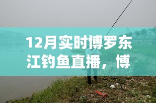 博羅東江畔的釣魚盛宴，12月實時釣魚直播開啟！