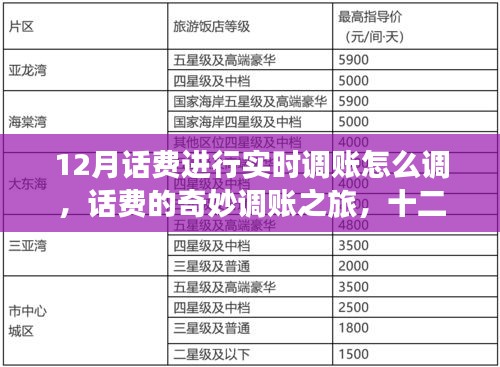 十二月話費(fèi)實(shí)時(shí)調(diào)賬指南，奇妙之旅與溫情時(shí)刻