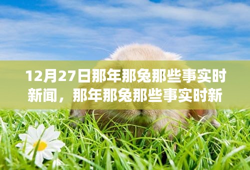 那年那兔時(shí)事新聞追蹤解讀指南，從初學(xué)者到進(jìn)階用戶的步驟指南