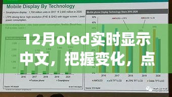 12月OLED中文實(shí)時(shí)顯示，把握變化，點(diǎn)亮未來——展現(xiàn)你的中文魅力