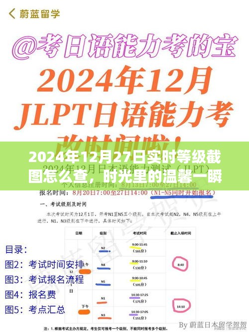 2024年12月27日等級(jí)截圖揭秘，時(shí)光溫馨一瞬，友誼見(jiàn)證時(shí)刻