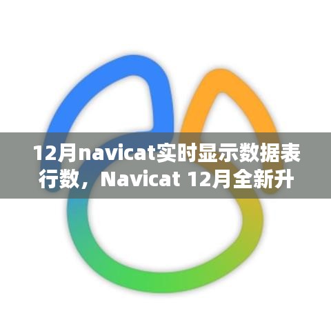 Navicat 12月升級亮點，實時數(shù)據(jù)表行數(shù)顯示，科技助力數(shù)據(jù)管理便捷性