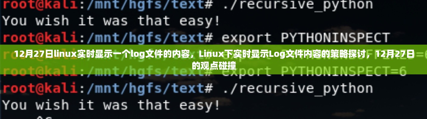 Linux下實時顯示Log文件內(nèi)容的策略探討，觀點碰撞與實時更新技術(shù)