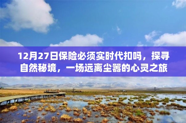 保險(xiǎn)代扣與心靈之旅，探尋自然秘境的遠(yuǎn)離塵囂之旅