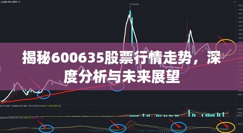 揭秘600635股票行情走勢(shì)，深度分析與未來(lái)展望