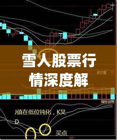 雪人股票行情深度解析，最新價(jià)格走勢(shì)與投資建議