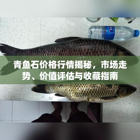 青魚石價格行情揭秘，市場走勢、價值評估與收藏指南