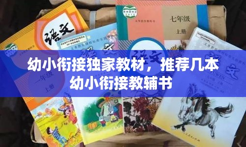 幼小銜接獨(dú)家教材，推薦幾本幼小銜接教輔書 