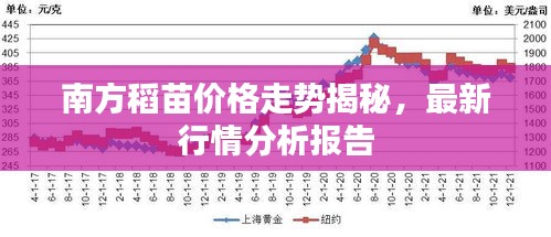 南方稻苗價格走勢揭秘，最新行情分析報告