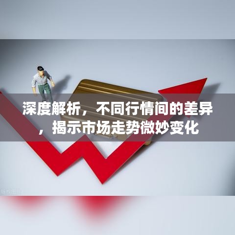 深度解析，不同行情間的差異，揭示市場走勢微妙變化