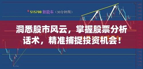 洞悉股市風(fēng)云，掌握股票分析話術(shù)，精準(zhǔn)捕捉投資機(jī)會！