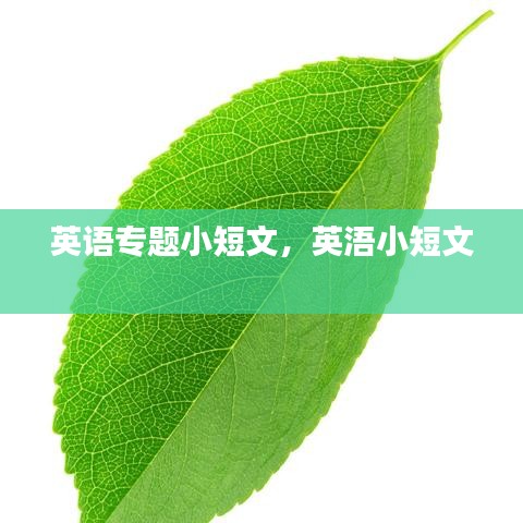 英語專題小短文，英浯小短文 