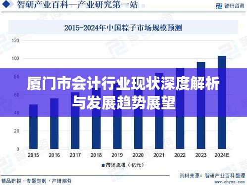 廈門市會計行業(yè)現狀深度解析與發(fā)展趨勢展望