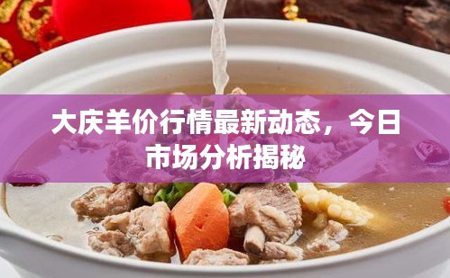 大慶羊價(jià)行情最新動(dòng)態(tài)，今日市場分析揭秘